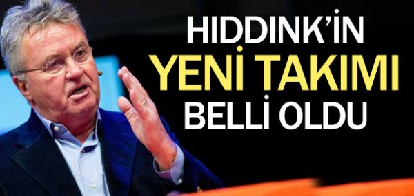 Hollanda'nn yeni hocas Hiddink